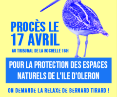Procès du 17 Avril 2025