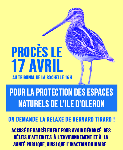 Procès du 17 Avril 2025